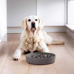 District 70 Bamboo Slow Feeder Aktivitets Skål Til Hunden Light Grey